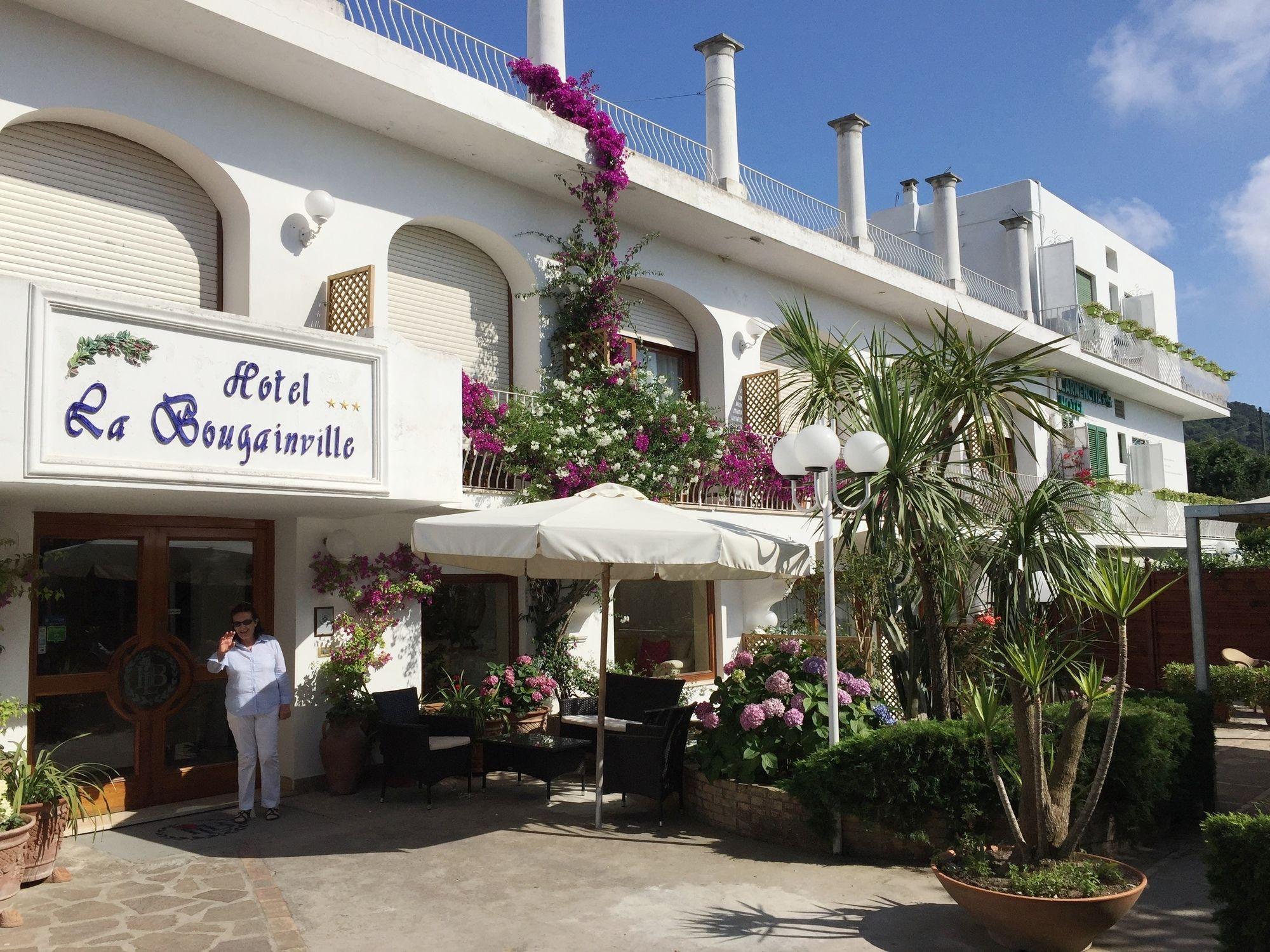 Capri Bougainville